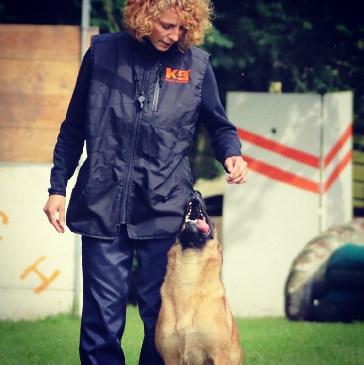 Cours de rééducation canine